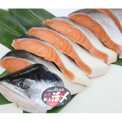 【ふるさと納税】活〆 時しらず 鮭切身 中塩仕込 天然 半身 1300g 小分け 知床斜里産【配送不可地域：離島・沖縄県】【1653133】