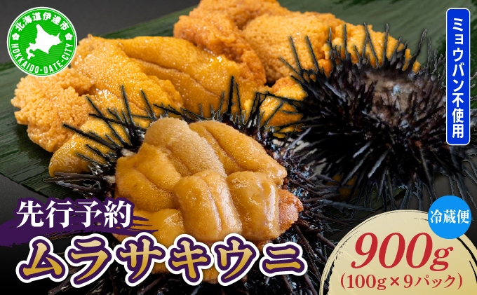 ＜先行予約＞ 北海道産 ムラサキウニ（正規品）900g【ogm-038】生うに 塩水うに ミョウバン不使用 海鮮 国産 北海道 伊達 ふるさと納税 900g