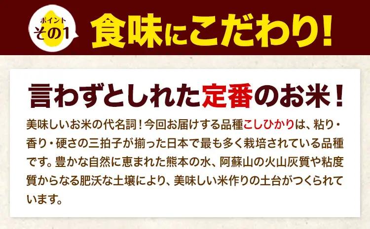 【12ヶ月定期便】令和7年産 無洗米 こしひかり  5kg 無洗 《お申込み翌月から出荷》