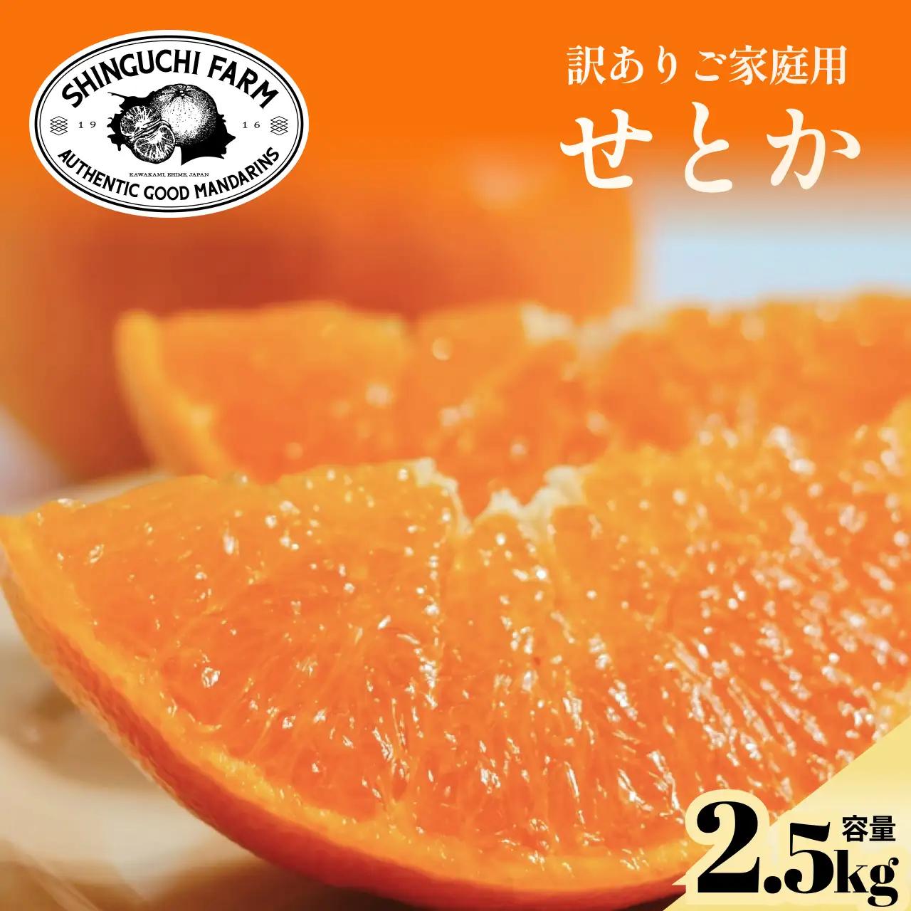 【先行受付】訳ありだけど美味しさそのまま【訳あり】せとか 2.5kg【A70-155】【1707145】 YWTK154