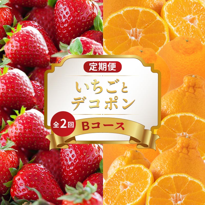 【ふるさと納税】 旬のフルーツ 定期便 2回 Bコース 果物 フルーツ いちご 苺 さぬきひめ デコポン 不知火 みかん 柑橘 蜜柑 デザート スイーツ ケーキ アイス ジェラート ふるさと納税定期便 ふるさと納税フルーツ ギフト 贈答 送料無料 ふるさと納税 香川県 丸亀市