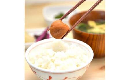 梅干し 食べ比べ 化粧箱セット 梅干し