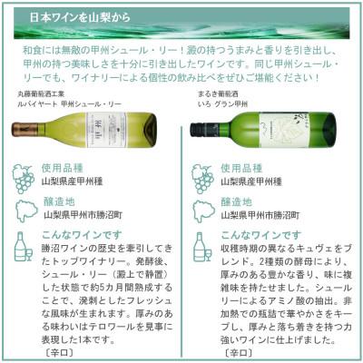 ふるさと納税 山梨県 甲州シュール・リー 6本セット |  | 01