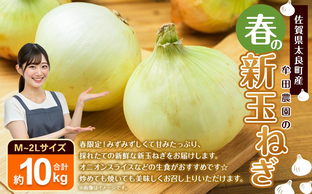 
                  牟田農園の春の新玉ねぎ10kg （M～2L） 【2026年4月上旬～6月上旬迄順次発送予定】 たまねぎ タマネギ 野菜 新玉ねぎ 玉ねぎ 農家直送 佐賀県 太良町 N276
                