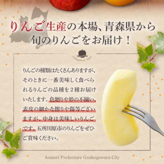 【2025年1月前半発送】 【訳あり】 りんご 約10kg サンふじ確約 青森産 品種おまかせ2種以上