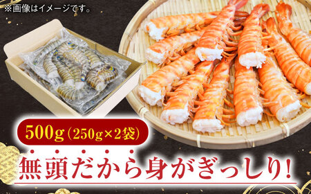 【加熱用】伊万里特産 無頭冷凍クルマエビ（250g×2袋）/ エビ 海老  [41AEAJ008]