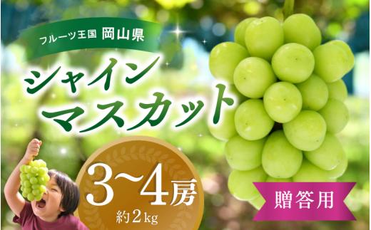 【2026年先行予約】ぶどう 岡山 花笑み農園 『シャインマスカット』約2kg（3～4房） 贈答用 岡山 真庭 シャインマスカット 高級 2kg 贈答 2026 真庭市 大粒 葡萄 果物 フルーツ シ