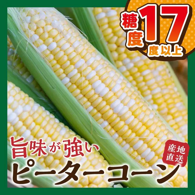 富士北麓忍野村の気候、水、自然で作られた朝採りトウモロコシ【ピーターコーン】 （約2.5kg）