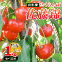 【ふるさと納税】山形産 さくらんぼ佐藤錦 1kg 並べ詰め L以上 【令和7年産先行予約】FS24-728