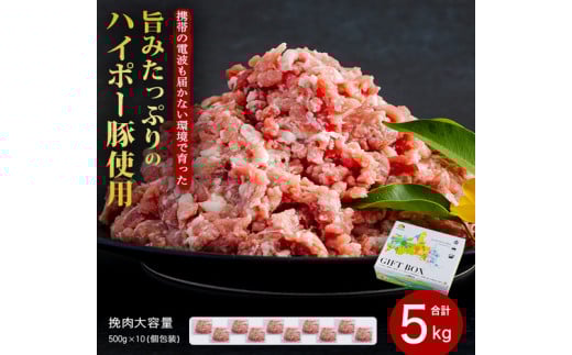 [№5681-0151]豚肉 阿武町産 豚挽肉 500g×10パック 小分けセット | 携帯の電波も届かない環境で育った旨みたっぷりのハイポー豚 ひき肉 挽肉 豚 肉 お肉 ※配送不可:離島