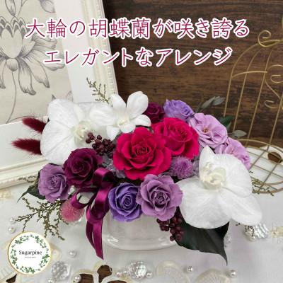 ふるさと納税 春日部市 プリザーブドフラワーアレンジ【ルクール/ディープルビー】春日部市 シュガーパイン