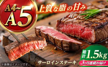 【全3回定期便】 長崎和牛 サーロイン ステーキ 250g×2 【KRAZY MEAT】 A5 A4 冷凍 和牛 肉 牛肉 BBQ[RCQ011]