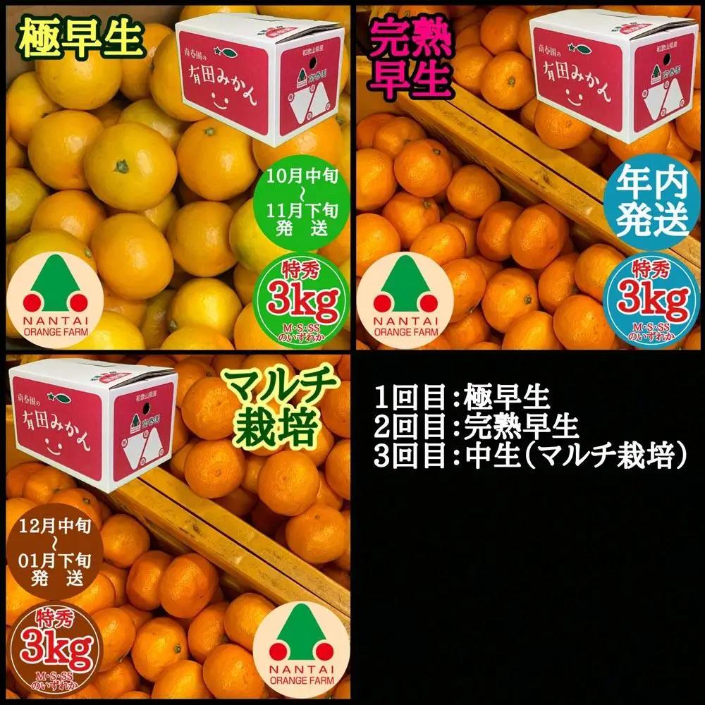 定期便 有田みかん 食べくらべ 3種 みかん 特秀 各 3kg コース 全3回 南泰園 