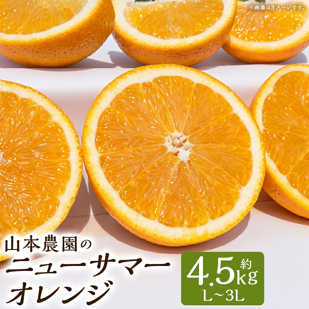 【ふるさと納税】山本農園のニューサマーオレンジ （初夏の味） 4.5kg 【2027年3月下旬～4月下旬発送予定】N128x2
