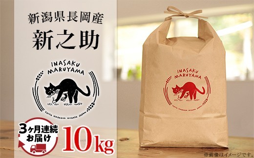 L4-8S103A【3ヶ月連続お届け】新潟県長岡産 新之助 10kg