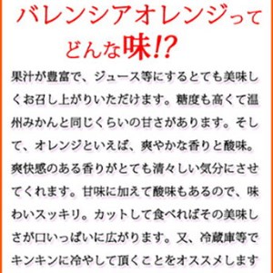 秀品 希少な国産バレンシアオレンジ 5kg ※2026年6月下旬～7月上旬頃に順次発送予定