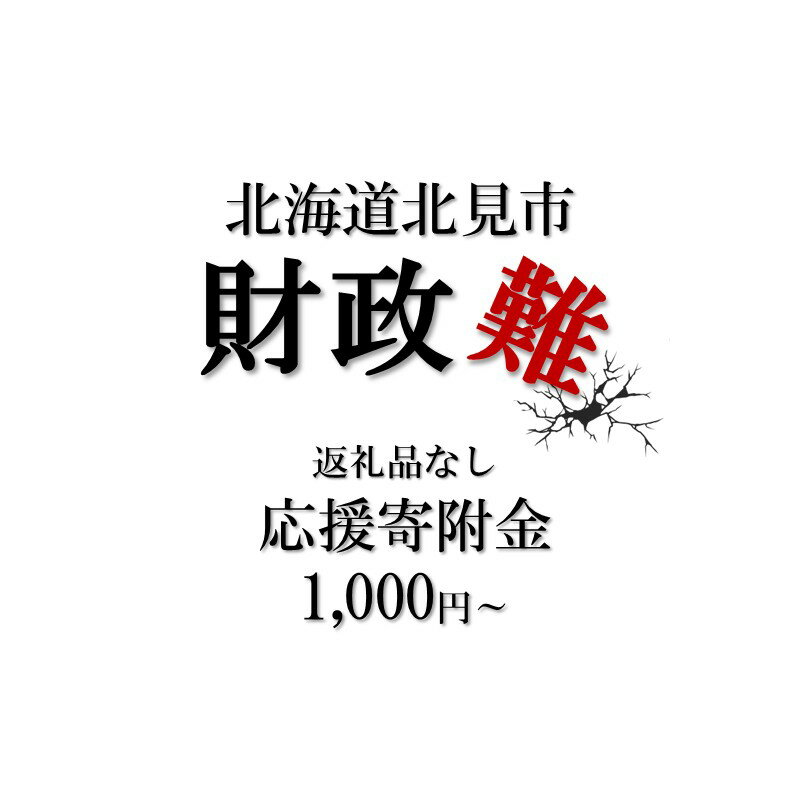 【ふるさと納税】【返礼品なし】北海道北見市 応援寄附 1,000円分～500,000円分