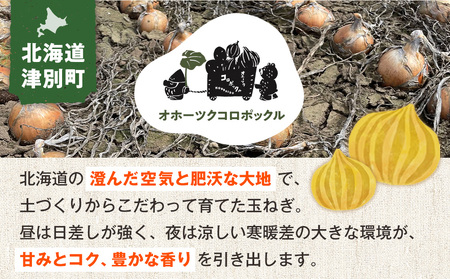 R8年産 玉ねぎ （M玉・S玉混合） 10kg オホーツクコロポックル | 北海道津別町