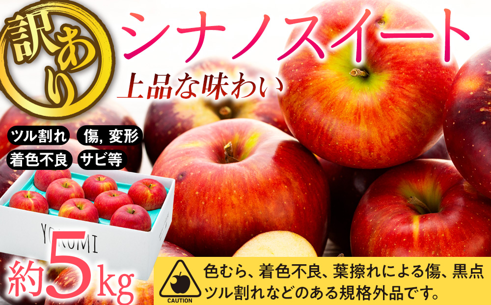 先行予約 訳あり りんご シナノスイート 約5kg 2024年 令和6年度発送分 リンゴ 林檎 長野 フルーツ 果物 信州産 長野県産 特産 産地直送 家庭用 おすすめ