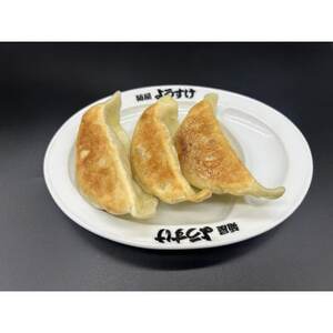 佐野の名店食べ比べ!麺屋ようすけ大餃子＆永華野菜餃子セット【配送不可地域：離島】【1678444】