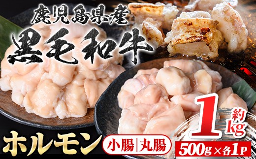 
            A01038 鹿児島県産黒毛和牛 ホルモン 小腸 丸腸 セット (計約1kg・約500g×各1P) 鹿児島 国産 九州産 黒毛和牛 牛肉 ホルモン 牛ホルモン 生ホルモン モツ マルチョウ ホルモンセット 食べ比べ 真空パック 個包装 小分け 冷凍 焼肉 もつ鍋 煮込み【新村畜産】
          