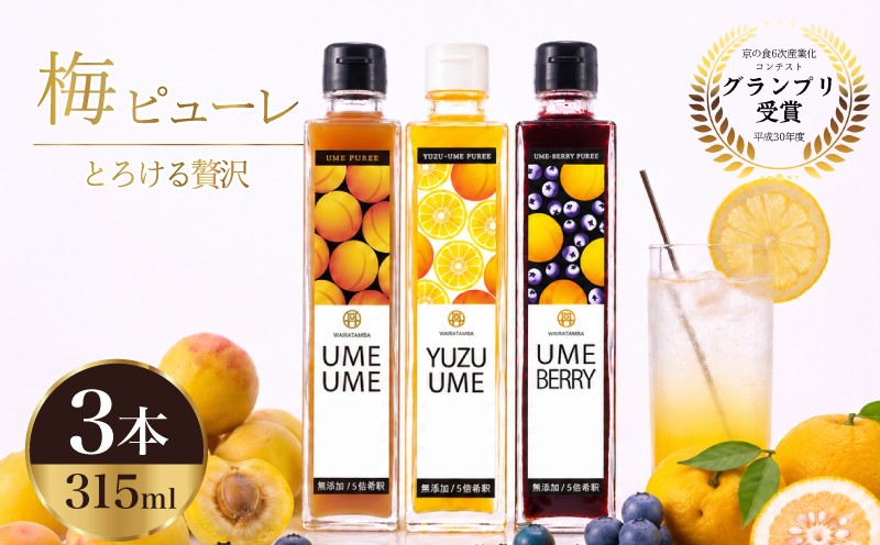 
                  梅ピューレ3種詰め合わせ 3本 セット 315ml 南高梅 梅シロップ フルーツ 果物 梅ソーダ うめ 完熟梅 ジュース ピューレ 梅ジュース  梅 柚子 ブルーベリー 果肉 常温 炭酸水 炭酸割 瓶 贈り物 贈答用 ギフト プレゼント 割材 お酒 おさけ 焼酎 カクテル 人気 ランキング お中元 お歳暮 京丹波 京都
                
