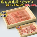 【ふるさと納税】那須高原和牛特上カルビ800g入栃木県産枝肉熟成ヤシオポーク匠バラカルビ800g入 肉 牛肉 豚肉 グルメ 栃木県 送料無料※着日指定不可