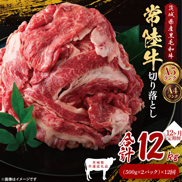 【茨城県共通返礼品】【12ヶ月定期便】常陸牛切り落とし1kg（500g×2）｜ブランド牛 銘柄牛 和牛 黒毛和牛 国産 A5・A4ランク 等級 お肉 牛肉 牛丼 すき焼き 炒め物 小分け 定期 12回 毎月 茨城県 大子町（DD013）