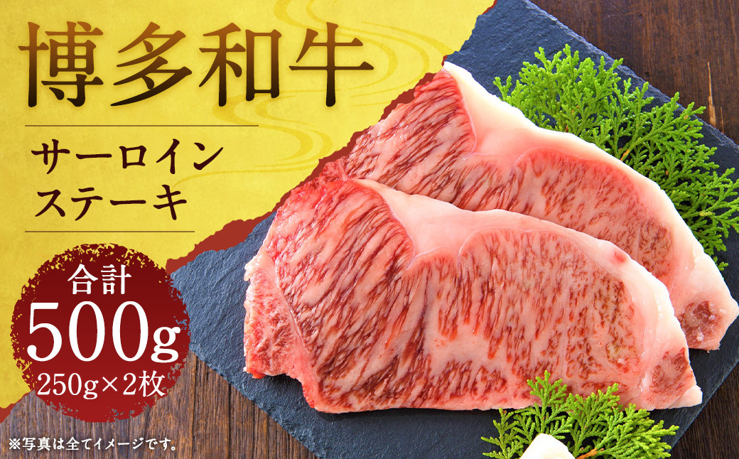 
                  博多和牛サーロインステーキセット 約500g(約250g×2枚)
                