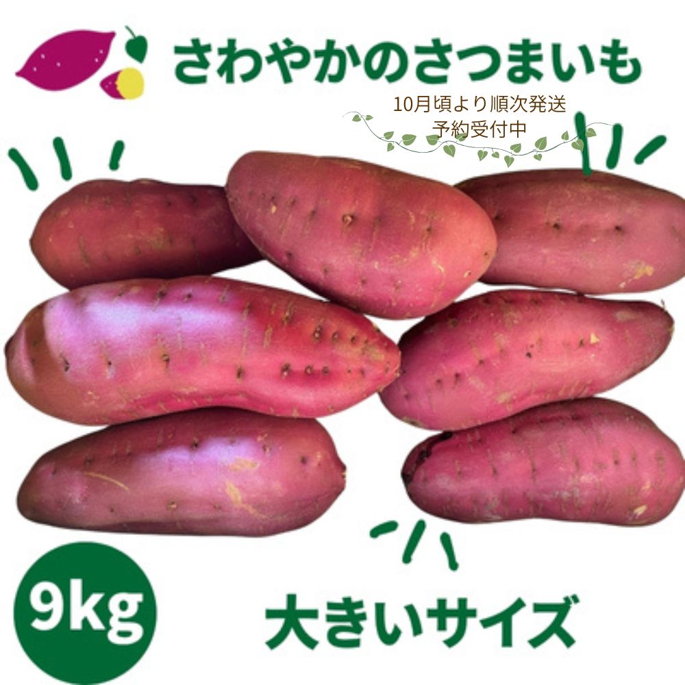 【ふるさと納税】【予約受付中・2026年10月頃より順次発送】さわやかのサツマイモ 大きいサイズ 9kg ＜ 徳島さわやかファーム ＞ ｜ さつまいも ねっとり 甘い 熟成 国産 産地直送 スイーツ 焼き芋 焼芋 焼きいも おやつ 天ぷら 干し芋