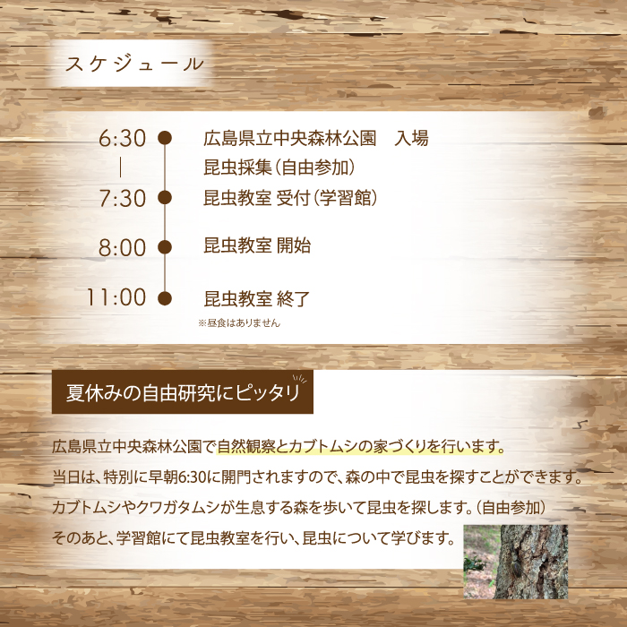【広島県立中央森林公園】カブトムシのお家をつくろう!昆虫教室 （カブトムシつがい＆飼育用ケース付き）4名様分 昆虫採集 広島空港 クワガタ 小学生 自由研究 自主学習 043026