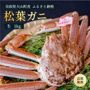 【ふるさと納税】ブランドタグ付　高級生松葉ガニ（特大約1kg）約3－4人前 鳥取県産 高級 松葉ガニ ズワイガニ かに 松葉蟹 ずわいがに　カニ 松葉がに 蟹 魚介 海鮮 送料無料 鳥取県 大山町 【11月中旬以降発送】OM-26