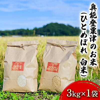 【ふるさと納税】【令和8年度産】奥能登粟津のお米（ひとめぼれ　白米）3kg×1袋 　お届け：10月中旬～6月下旬