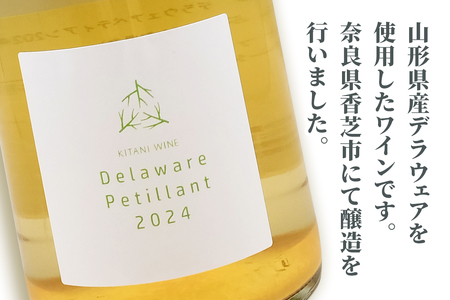 デラウェアペティアン 2024 (750ml×1本)｜ワイン 果実酒 奈良 香芝 [2912]