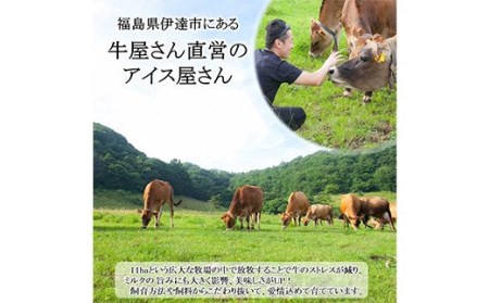 【ジャージー牛乳使用】まきばのジャージーアイス人気の12種12個セット F20C-600
