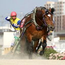 【ふるさと納税】【北海道帯広】世界にたったひとつ!ばんえい競馬　個人冠協賛レース【1205457】