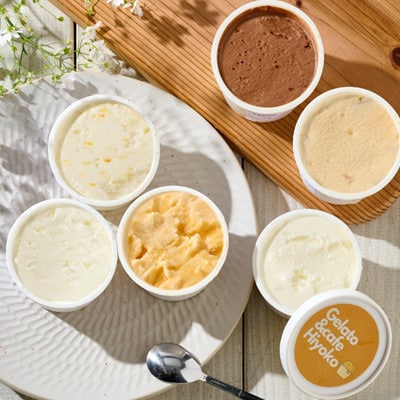 【3ヵ月毎定期便】【兵庫県神河町発】ジェラート【おまかせ】詰め合わせ　90ml×12個全3回【配送不可地域：離島】【4076182】