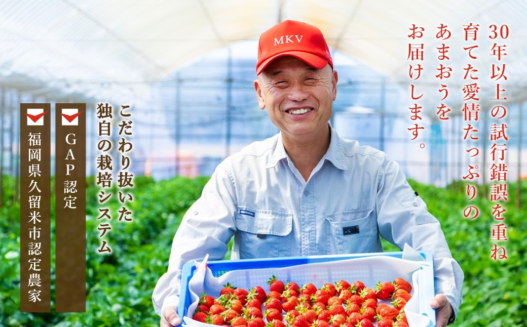 【香春町 大容量 数量限定】 あまおう 約280g×6パック 計1680g