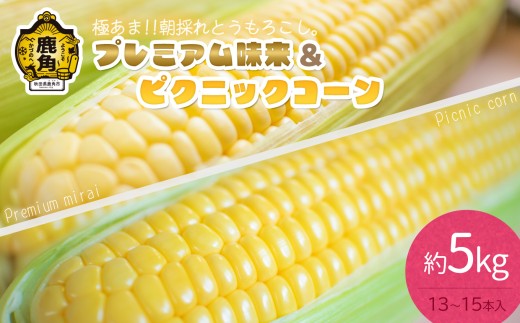 《 先行予約 》 秋田県鹿角産 朝採り プレミアム味来＆ピクニックコーン 約5kg（13～15本）食べ比べセット【さとう農園】●2026年8月10日以降発送開始 朝採り 甘い 秋田県 鹿角産 新鮮 野菜 安全 トウモロコシ スイートコーン 中元 お歳暮 母の日 父の日 グルメ ギフト 故郷 秋田 あきた 鹿角市 鹿角 送料無料