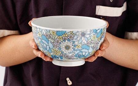  肥前吉田焼 軽々丼ぶりセットNAZ408 