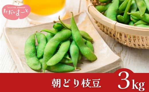 先行予約 採れたてをお届け！朝どり枝豆 3kg（1kg×3袋）令和8年度 新潟県産 えだまめ [JAえちご中越]【015S114】