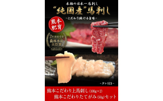 馬刺し 上赤身 ブロック 国産  《90日以内に出荷予定(土日祝除く)》---oz_fkgaktate_90d_22_12500_250gt---