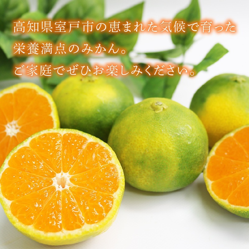 【先行予約】【9月以降お届け】 極早生みかん 5kg 【道の駅キラメッセ】