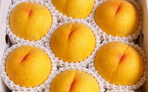 【先行受付|8月下旬頃より順次発送】岡山県産『黄金桃』　約2kg(6~8玉)【配送不可地域：離島・北海道・沖縄県】