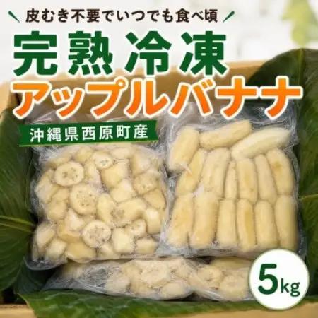 【皮むき不要】いつでも食べ頃!完熟冷凍アップルバナナ5kg【配送不可地域：離島】【1742592】
