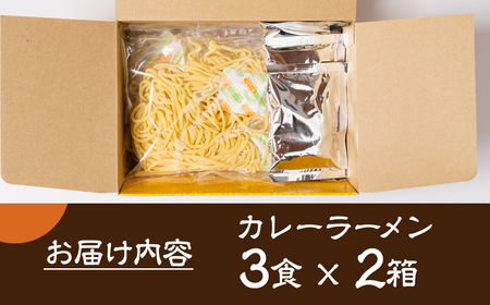 カレーラーメン 3食（100g×3 スープ付）×2箱 計6食【丸中製麺所】ラーメン 自家製麺 飛騨 下呂市 カレー 生麺 生めん【29-14】