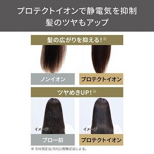 プロフェッショナル プロテクト イオン ヘアー ドライヤー ホワイトアッシュ（NIB400A-W）