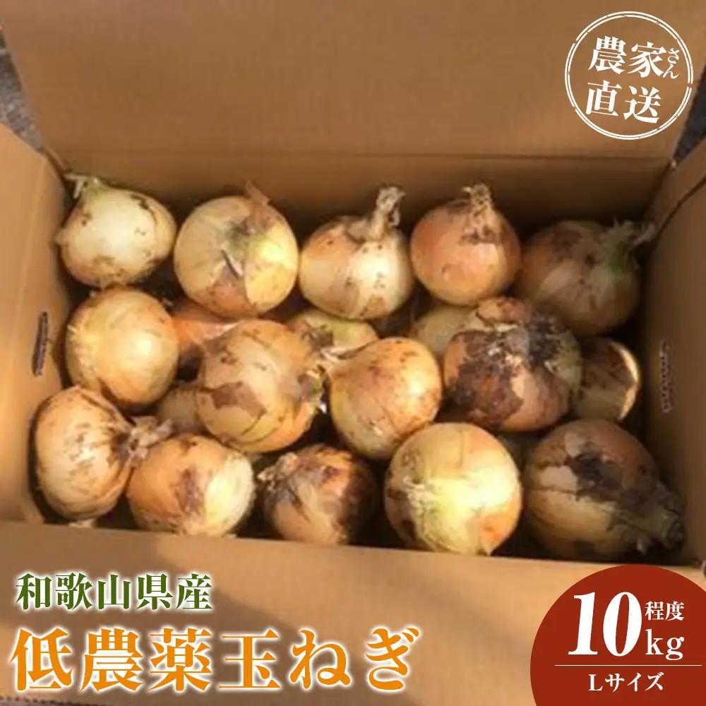 ［2026年発送分・先行予約］農家さん直送 低農薬玉ねぎ Lサイズ 10kg程度［4月中旬～7月中旬頃発送予定］［KF16］