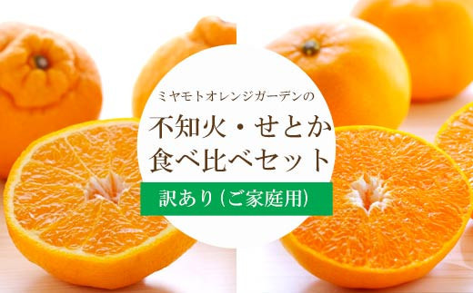 愛媛の人気2品種をセットに!せとか・不知火 食べ比べ 合計3kg＜訳あり＞＜C25-141＞_ 訳あり わけあり みかん ミカン せとか 不知火 食べ比べ セット 柑橘 フルーツ ふるーつ 果物 くだもの 果実 青果 ジューシー 甘い 贈答 ギフト 愛媛 旬 【1283421】