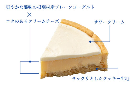 3層のしっとり濃厚!ヨーグルトフロマージュタルト 2箱 5号サイズ　チーズケーキ